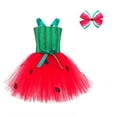 thumbnail image 5 of MKOSPLRT 2 Piece Girls Cute Holiday Watermelon Tulle Dress with Hairpin Sets Cosplay Party Carnival Dress Up Outfits 3-12Y, 5 of 10