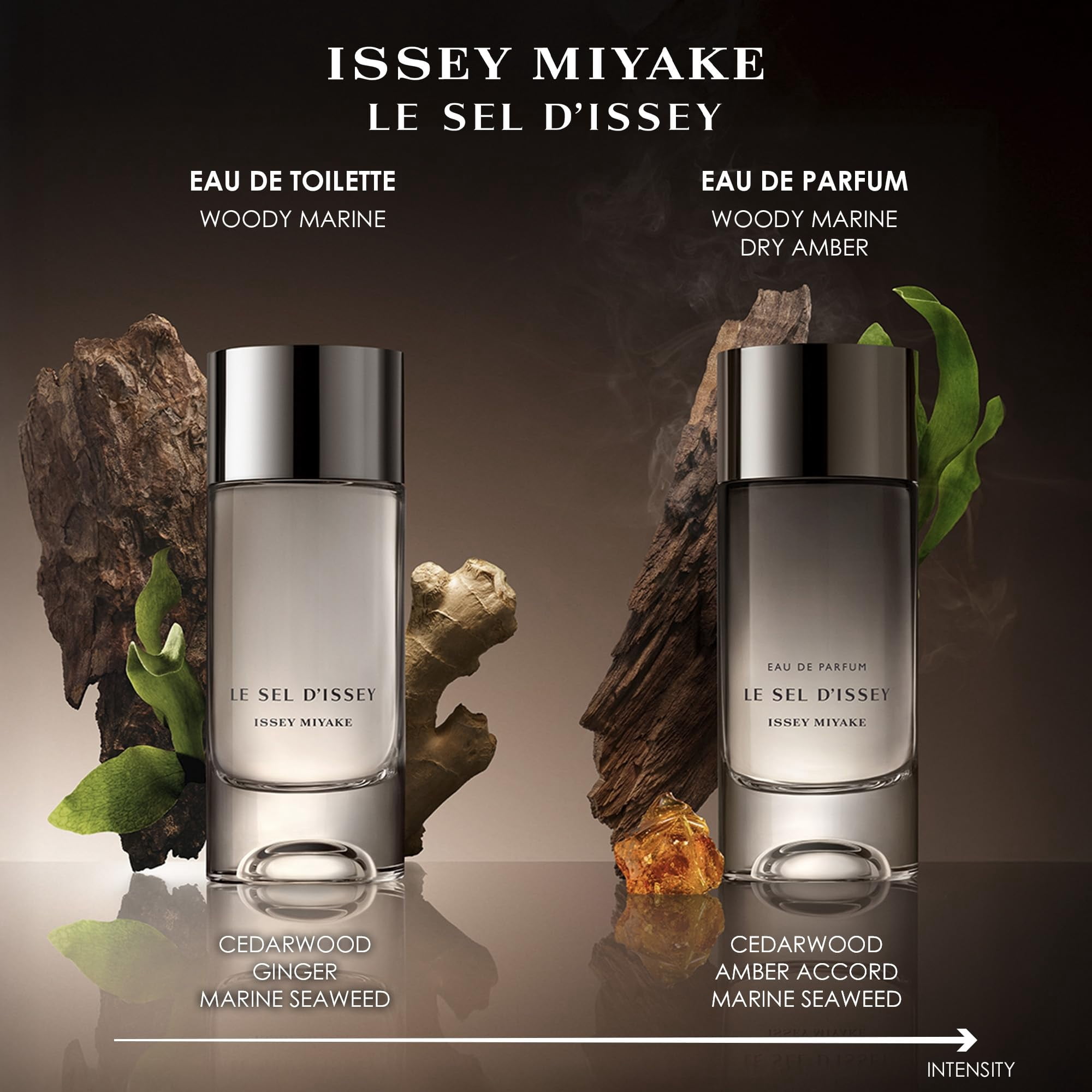 Issey Miyake Men's Le Sel D'issey EDP Spray 3.4 oz Fragrances