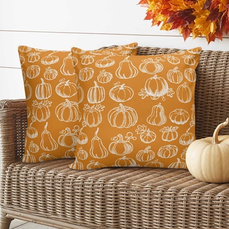 Thanksgiving Pumpkin Pillow Covers 2 Pack Fall Hand Drawn Pumpkin Pillowcase Waterproof Outdoor Throw Pillow Cover for Patio Garden Balcony Decorative Square Cushion 24 x24