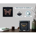 thumbnail image 2 of Framed Entomology Art Display Butterfly Spotted Sawtooth Glass Shadow Box Curiosity Tabletop Wall Hanging Moody Gothic Home Decor K12-10-KINH, 2 of 6