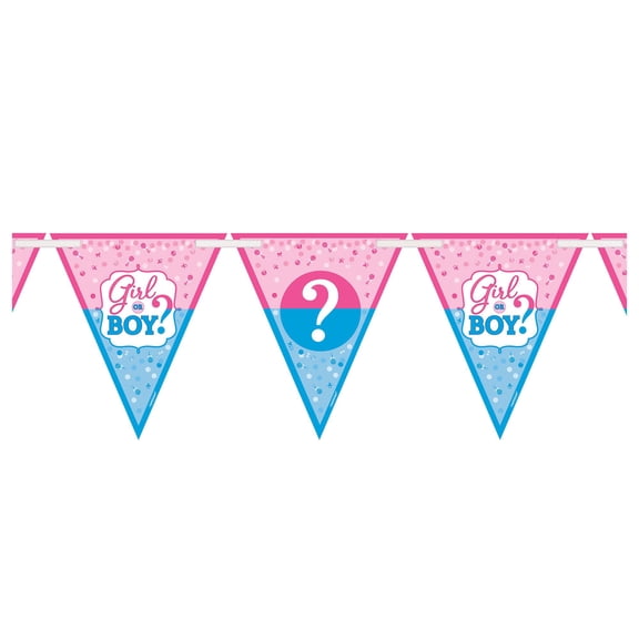 Amscan Boy or Girl Gender Reveal Baby Shower Banner, Multicolor
