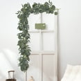 thumbnail image 5 of Pxyqht Simulated Willows Leaf Eucalyptus Rattan Artificial Decorative Garland for Home, Weddings, Events, Indoor and Outdoor Decor, 5 of 6