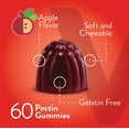 thumbnail image 7 of VITEEY Apple Cider Vinegar Gummies with Ginger, Gut Cleanse Dietary Supplements, Apple Flavor, 60 Ct, 7 of 7