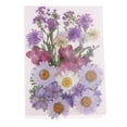 thumbnail image 2 of Paquete Múltiple Hermosas Flores Secas de Flores das Reales para Arte, Manualidades, álbumes de Recortes, Resina, Joyería, Fabricación de do Macarena Flores secas prensadas naturales, 2 of 6