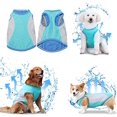 thumbnail image 1 of Chalecos refrescantes para perros, camisetas de enfriamiento instantáneo, chaquetas de verano para caminar y correr, alta visibilidad al aire libre (XXL), 1 of 5