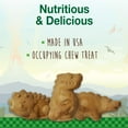thumbnail image 3 of Nylabone Healthy Edibles Dino Dudes Natural Long Lasting Dog Chew Treats Small - Up to 25 lbs. (15 Count), 3 of 10