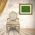 thumbnail image 3 of Simons 14x12 Gold Ornate Wood Framed with Double Matting Museum Art Print Titled - Bamboo in HD II, 3 of 4