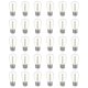 thumbnail image 1 of 30-Pack Outdoor String Light Bulbs, Waterproof S14 Replacement Bulb, E26 Base Warm White-Yvan 26-27s, 1 of 5