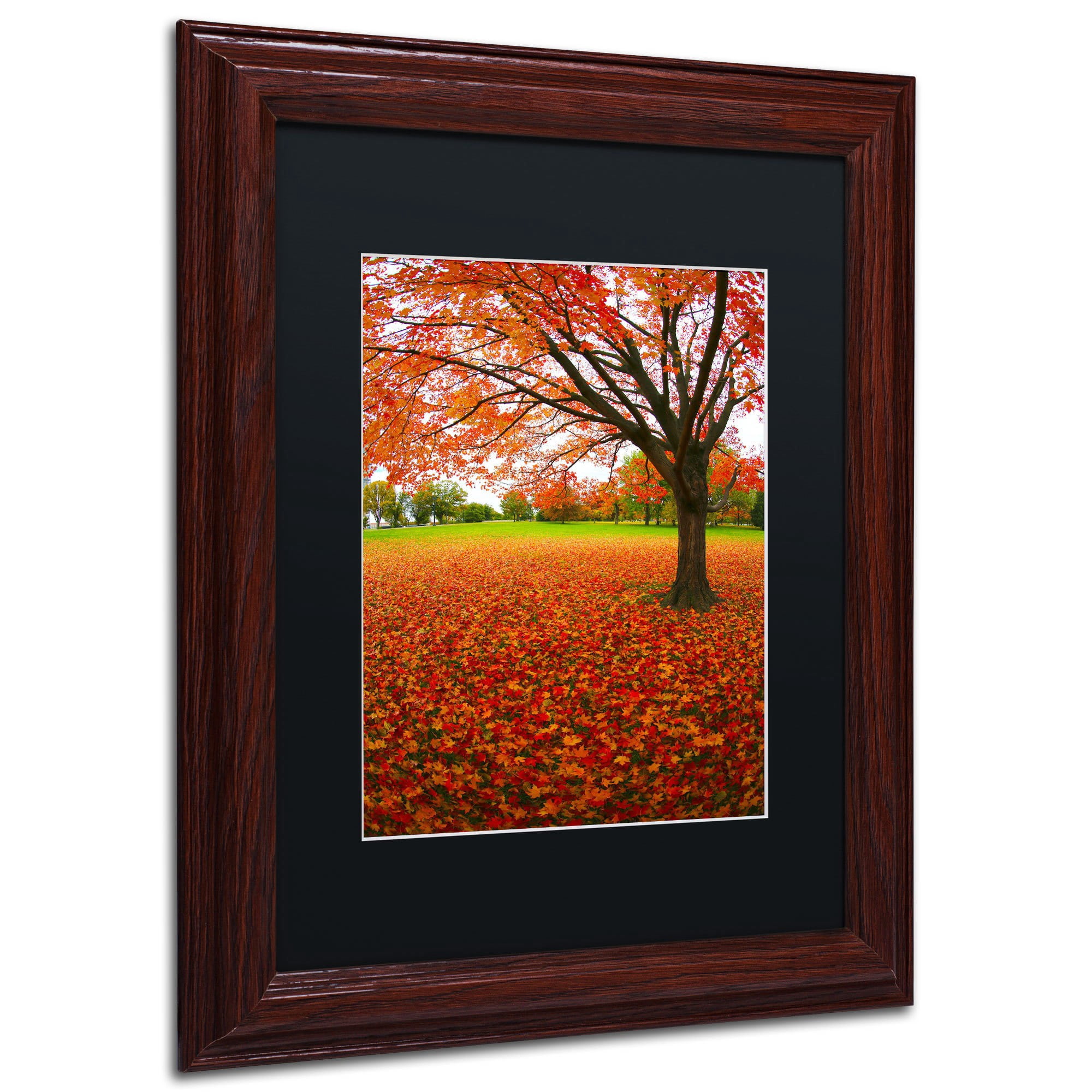 Trademark Fine Art "Autumn Expressions" Canvas Art by CATeyes, Black Matte, Wood Frame