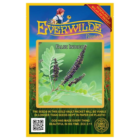 Everwilde Farms - 200 False Indigo Native Wildflower Seeds - Gold Vault Jumbo Bulk Seed Packet