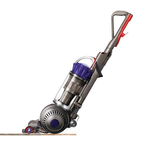 Aspirateur vertical Animal DC66 de Dyson