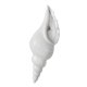 thumbnail image 4 of Florero de cerámica concha concha para colgar en , DO Gloria Jarrón de pared decorativo, 4 of 9
