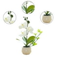 thumbnail image 3 of Flor falsa de doble tenedor, simulación de phalaenopsis, decoración creativa de bonsái pequeño, planta artificial en maceta, planta verde, 3 of 5