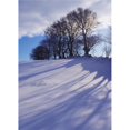 thumbnail image 1 of Winter Landscape Poster Print by The Irish Image Collection, 13 x 18, 1 of 1