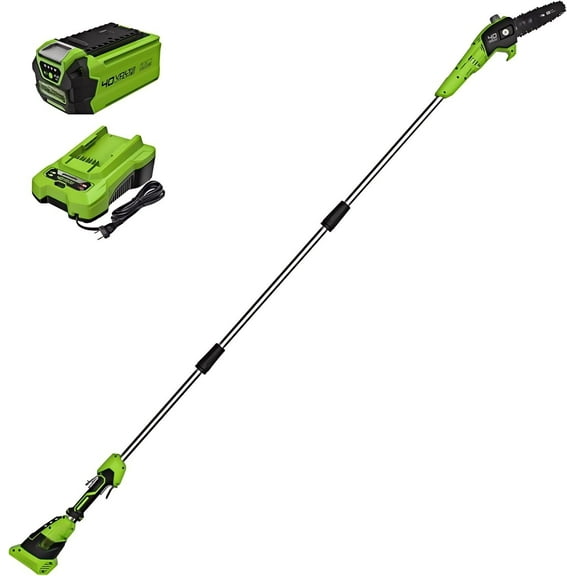40V 8-Inch Cordless Polesaw, 2.0Ah Battery and Charger Included PS40B210