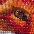 thumbnail image 2 of Kits de pintura de diamante 5D JanHm zorro para decoración de pared 30x40 cm, 2 of 5
