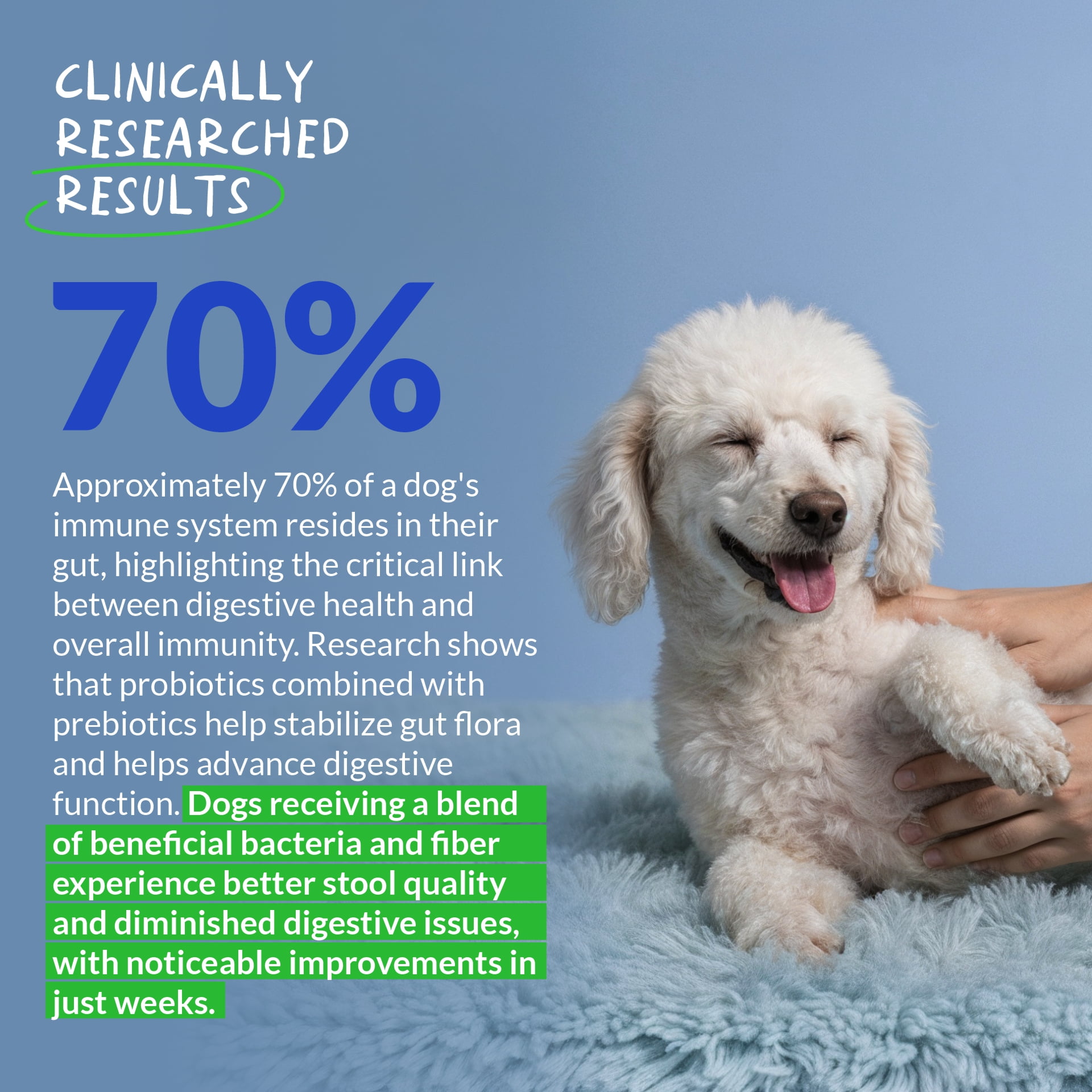 Coco and Luna Probiotics for Dogs - 90 Soft Chews - Diarrhea & Gas Support for Dogs - with Honey, Pumpkin and Prebiotics for Dog Allergies, Bad Dog Breath & Constipation Support