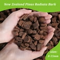 thumbnail image 6 of Orchid Barks Organic New Zealand Pine Bark for Orchids Bark Potting Mix Natural New Zealand Pinus Radiata Bark Medium Chips 8-15mm 2 quart Orchid Potting Bark, 6 of 8