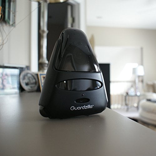 Walmart guardzilla sale