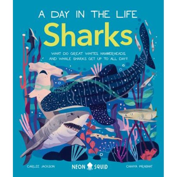 Pre-Owned Sharks (a Day in the Life): What Do Great Whites, Hammerheads, and Whale Sharks Get Up to All Day? (Hardcover) 168449219X 9781684492190