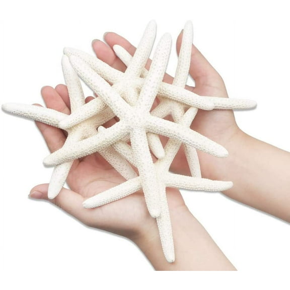 Yirtree 10 PCS Starfish 4 Inch Mixed Ocean Beach Starfish-Natural Colorful Seashells Starfish Perfect for Wedding Decor Beach Theme Party, Home Decorations, DIY Crafts, Fish Tank