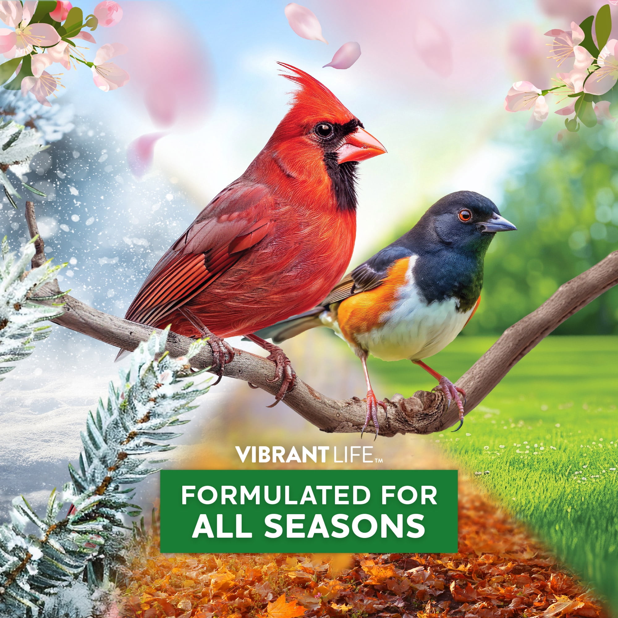 Vibrant Life Songbird Select Wild Bird Seed, 20 lb Bag