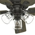 HUNTER 52345 Hunter 52 inch Rosner Noble Bronze Ceiling Fan with