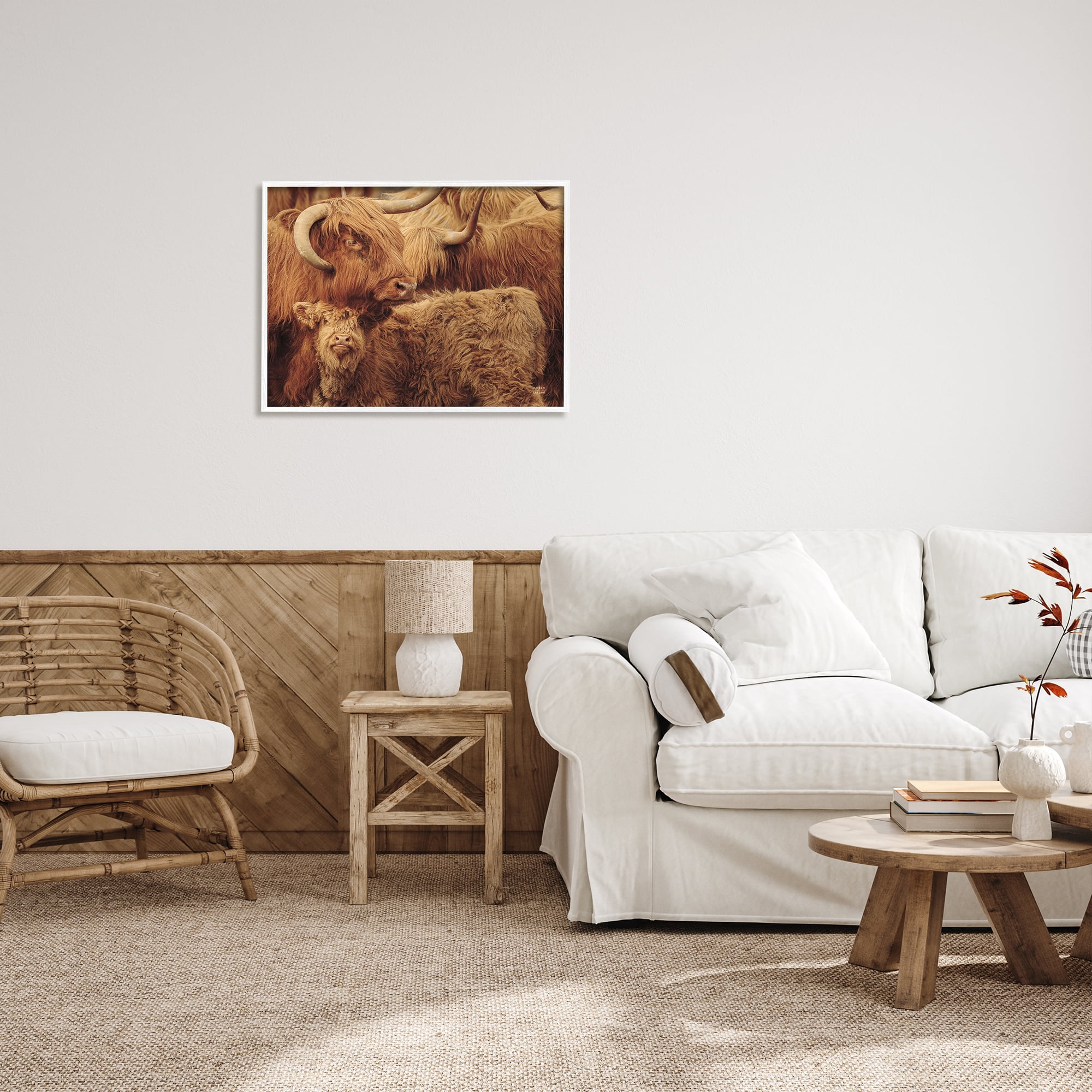 Stupell Industries Cattle & Calf Photography Animals & Insects Photography White Framed Art Print Wall Art, 30 x 24