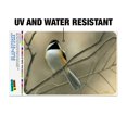 thumbnail image 2 of Black-Capped Chickadee Bird Songbird on Tree Branch Home Business Office Sign, 2 of 7