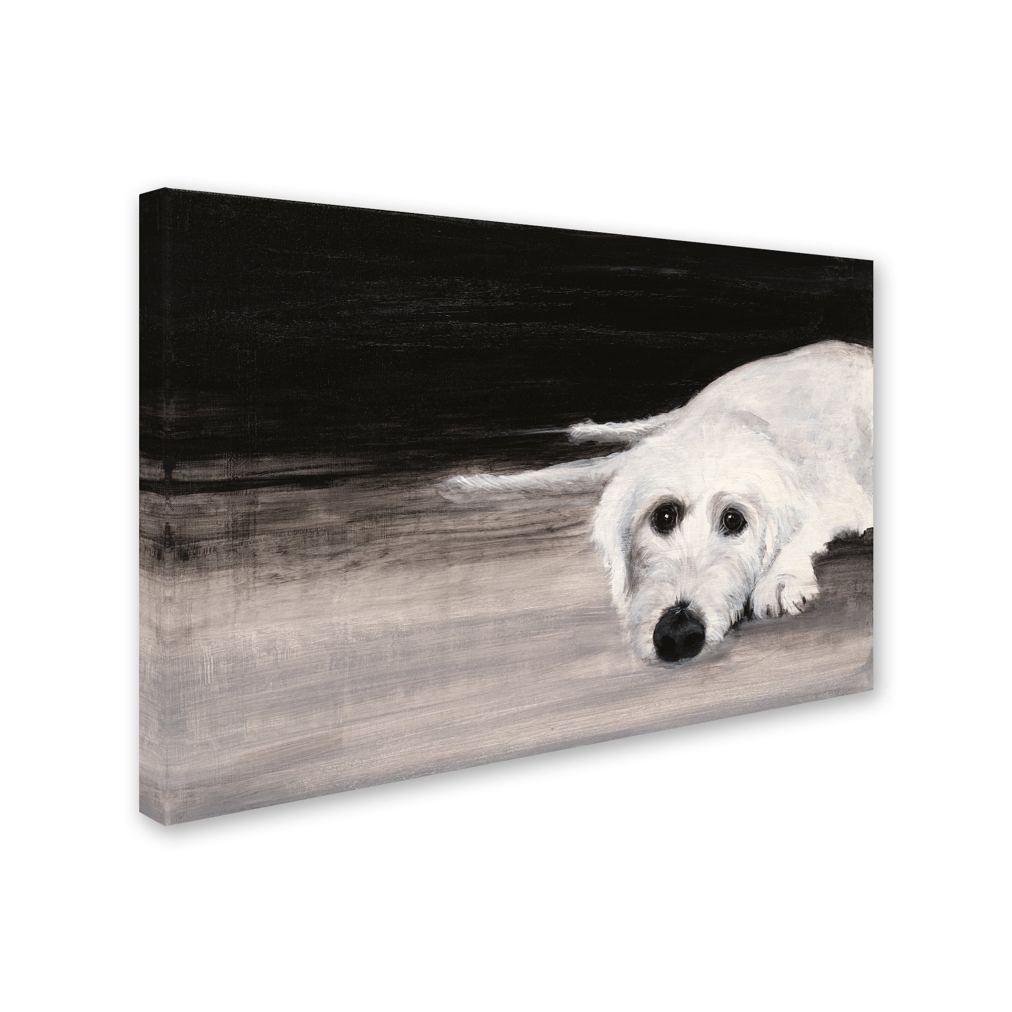 Trademark Fine Art 'Zena II' Canvas Art by Patsy Ducklow