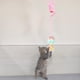 thumbnail image 4 of Colgante Gato Zulema Juguete Bouncy Dangler flexible Interior Rosa con campana gato jugar, 4 of 8
