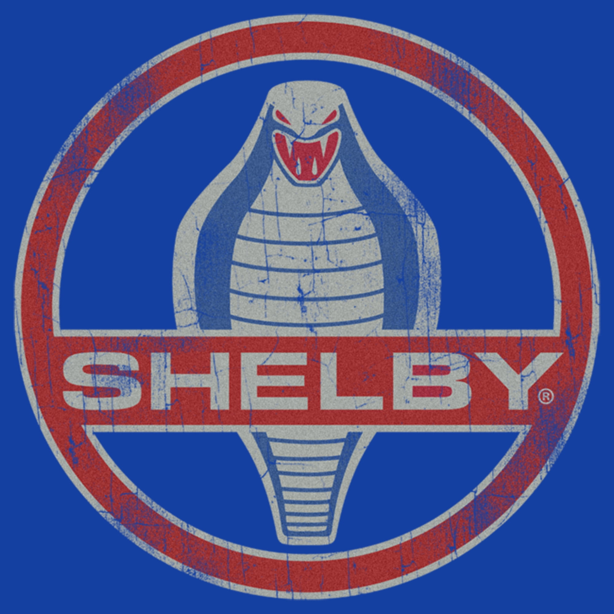 shelby-3 Download png