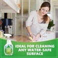 thumbnail image 4 of ECOS Hypoallergenic All-Purpose Spray Cleaner, Parsley, Antibacterial 22 Fl. oz., 4 of 6