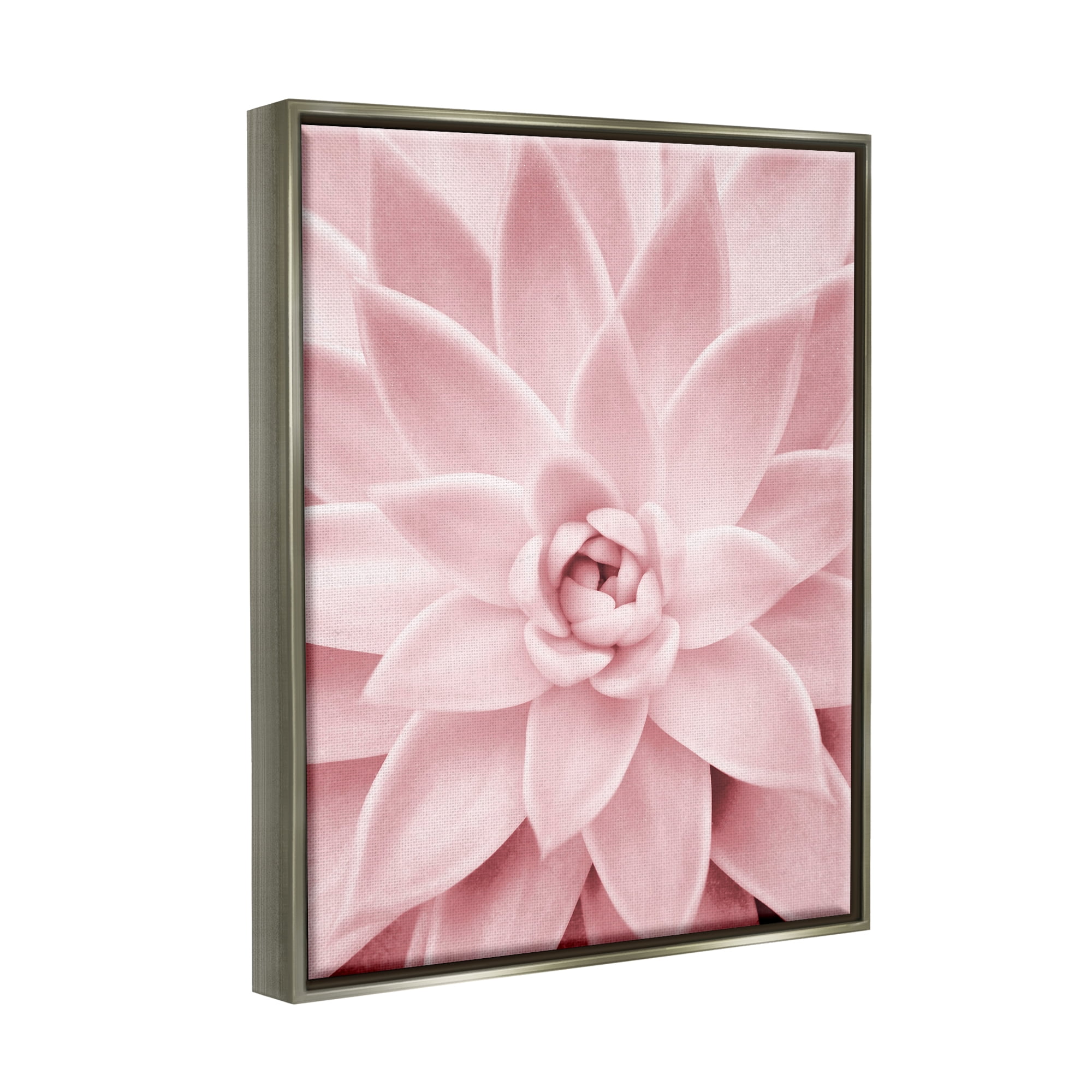 Stupell Industries Pastel Pink Succulent Botanical & Floral Photography Gray Floater Framed Art Print Wall Art, 25 x 31