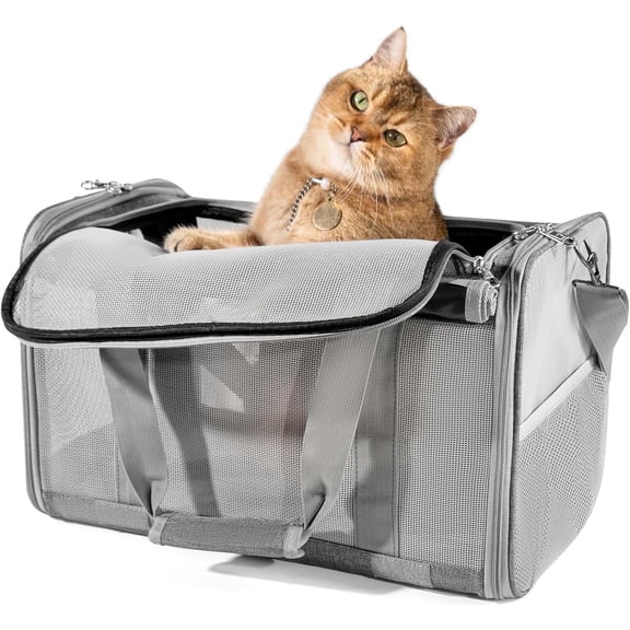 DENZUS Large Cat Carrier , Pet Carriers for Cat and Dog up to 25lbs, All-Sided Large Mesh Cat Carrier with Great Ventilation, Portable for Traveling