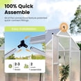 thumbnail image 5 of KING BIRD Premium 8x6FT Polycarbonate Greenhouse for Outdoors, Kuick-Setup Large Walk-in Hot Green House for Outside, Silver, 5 of 9