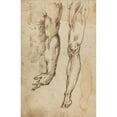thumbnail image 2 of Domenico Beccafumi 17x24 Black Ornate Framed Double Matted Museum Art Print Titled: Anatomical Studies, 2 of 5