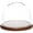 Dark Wood Base, variant on Plymor 8" x 6.5" Glass Display Dome Cloche (Walnut Veneer Base)