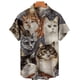thumbnail image 3 of Camisa hawaiana con estampado 3D completo de gato para hombre, camisetas casuales de manga corta con botones para verano, camisas para hombre, 3 of 5