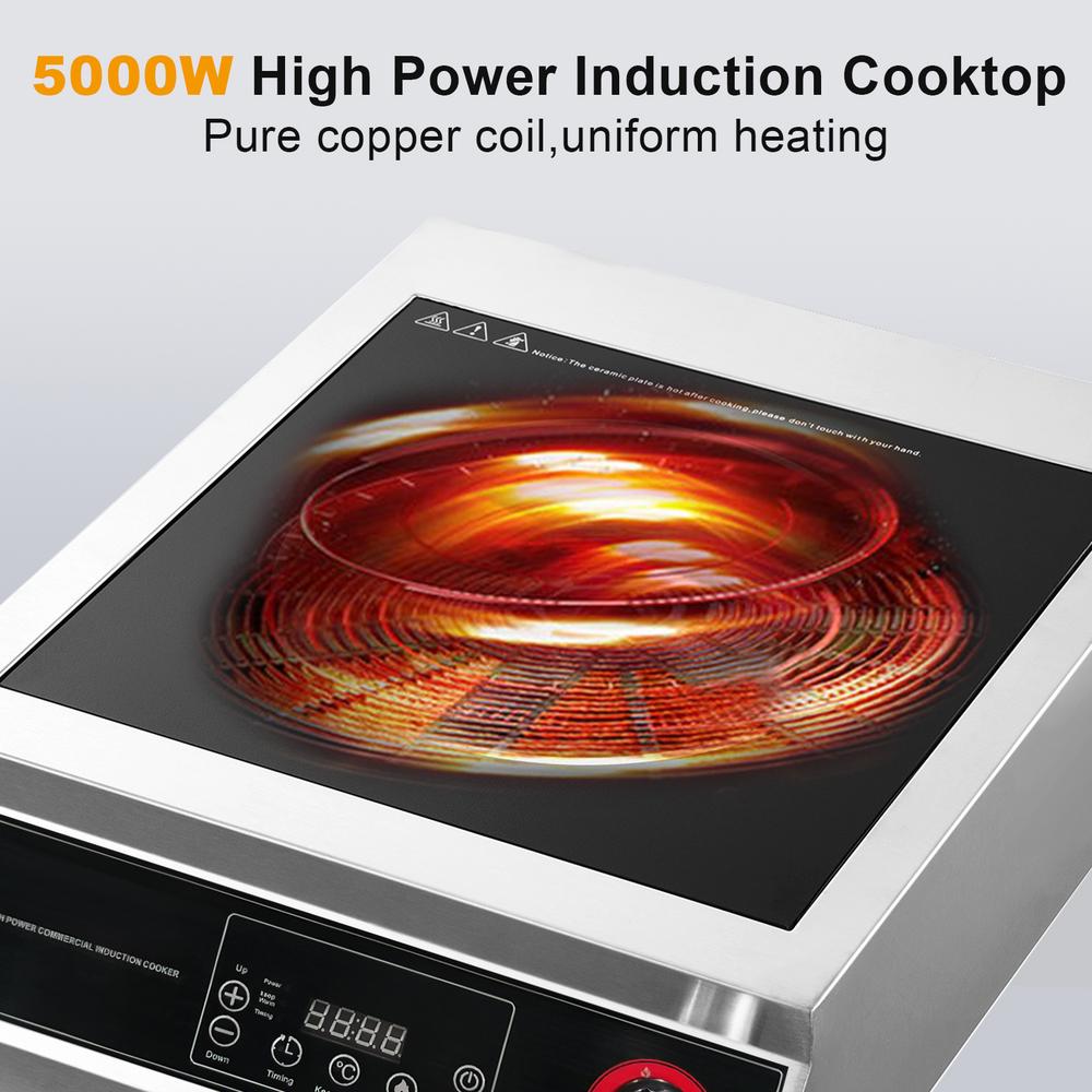 Mulaxen Commercial Induction Cookers, 5000W Induction Burner with 10 Power levels,Portable Ceramic Infrared Hot Plate, Countertop Burner with Warm Function, Black, 110V
