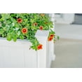 thumbnail image 3 of Vita Classic 15" L x 15" W Cardiff Vinyl Planter Box, White, VA68212, 3 of 9