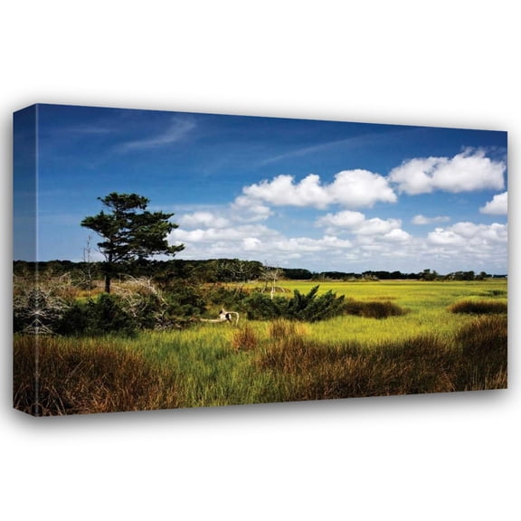 Alan Hausenflock 24x17 Gallery Wrapped Canvas Wall Art Titled - Marshland I