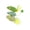 🥑 Green_Base#1331, variant on Catnip Mouse Toy Set Crinkle Noise Cat Toy Pack • Soft Fabric Interactive Play • IndoorEntertainment • Durable Plush Cat Enrichment
