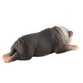 thumbnail image 4 of Modelo de mascota plástico realista vida silvestre animal niños niño figura juguete decoración del hogar regalo, 873 Inevent FN000219-03, 4 of 7