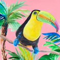 thumbnail image 2 of Loreth, Lanie 20x20 Black Ornate Wood Framed with Double Matting Museum Art Print Titled - Tropical Tucan II, 2 of 4