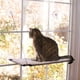 thumbnail image 2 of Cat Lounge Window Cling se adhiere fácilmente a las ventanas de vidrio, espejos y puertas lavables a máquina Bulk Buys OD854, 2 of 2