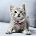 thumbnail image 4 of AURARMLET Sophisticated Purple Necklace 1Set for Small Dog with Durable Craftsmanship and Charms, 4 of 8