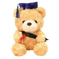 thumbnail image 4 of Oso de peluche de graduación, regalo conmemorativo, oso de peluche, tela suave, temporada de graduación, regalo para graduados, celebrar la graduación, regalo único de graduación, ositos,, 4 of 9