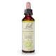 thumbnail image 1 of Flor Essence Bach Original Madreselva, 20 ml, vegana, sin gluten, 1 of 6