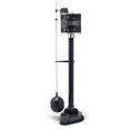 thumbnail image 1 of Everbilt 1 Third HP Reinforced Thermoplastic Pedestal Pump, 1 of 1